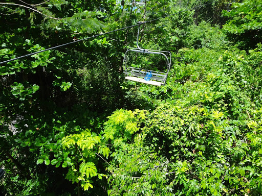 Dunn's River Falls & Rainforest Jamaica 2013