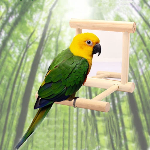 images slider number - 5