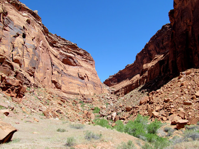 Side canyon which may be passable all the way to the rim