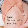 Knee Osteoarthritis Exercises icon