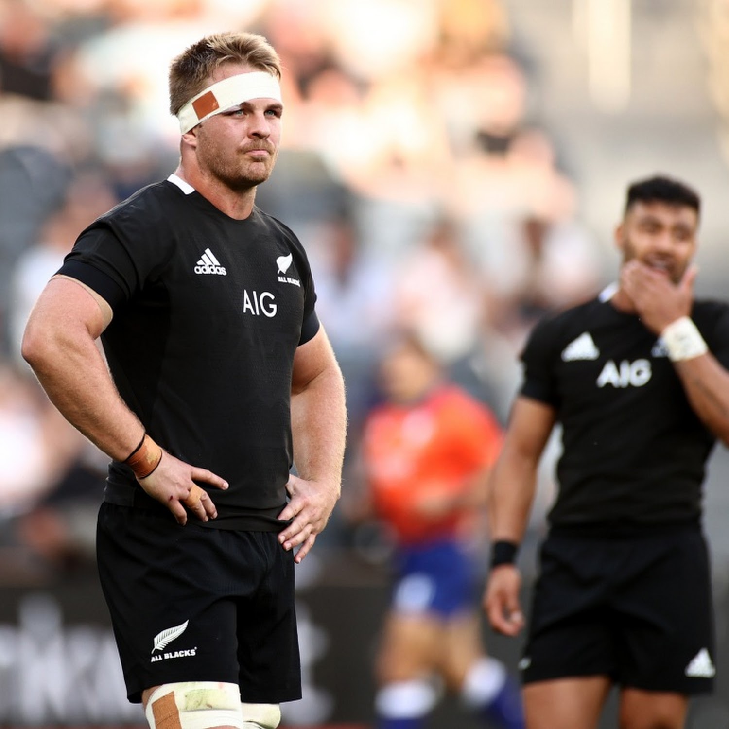 Rugby Championship: What we learned of All Blacks, Springboks, Australia,  Argentina ahead of key Autumn Internationals, Rugby Union News