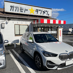 X1 xDrive 18d