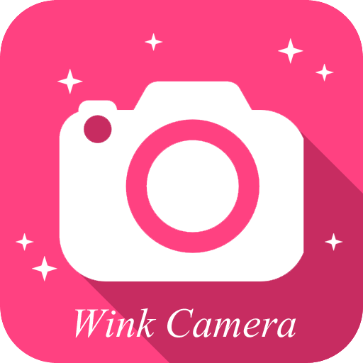 Wink Camera