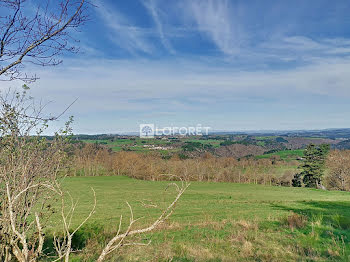 terrain à Chaulhac (48)