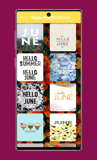 Happy June Quotes