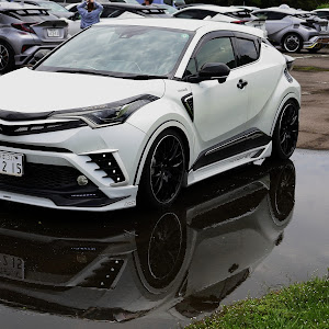 C-HR ZYX10