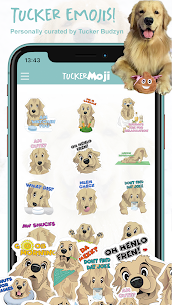 TuckerMoji – Golden Dog Stickers by Tucker Budzyn 2