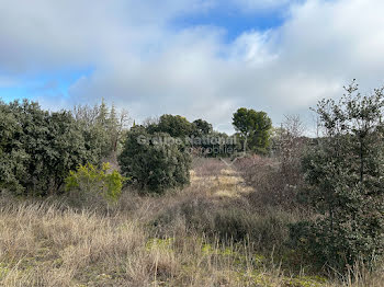 terrain à Carpentras (84)