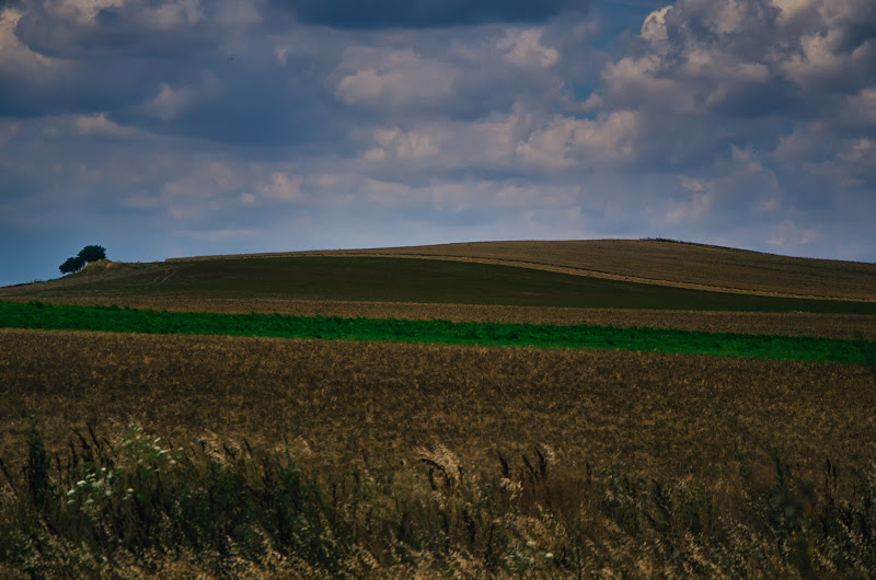 La mia collina di Gian Piero Bacchetta