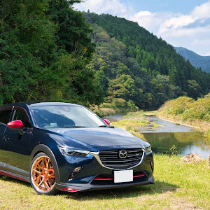 CX-3 DKEFW