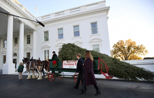 Melanija Tramp po tradiciji primila božićnu jelku za Belu kuću  