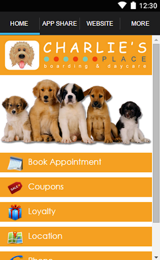 Charlie's Place Doggie Daycare