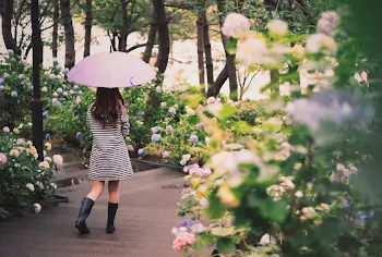 「雨野さんは晴川くんに恋をする」のメインビジュアル