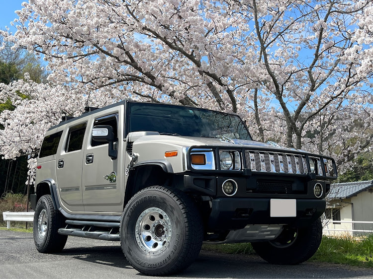 H2のサクラと愛車・桜とコラボ・ドライブ・アメ車好き・桜に関するカスタム事例の投稿画像1枚目