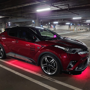 C-HR NGX50