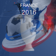 Euro 2016 Predictor Install on Windows