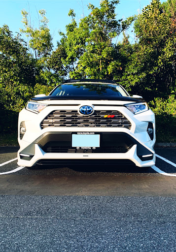 Taco vinyl グリルバッジ トリコロール RAV4 American（RAV4北米