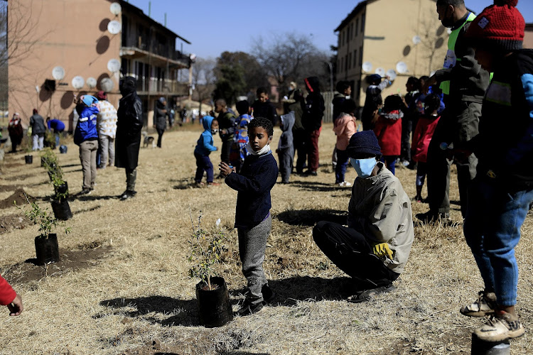 The Spiritual Chords Trust Sustainable Business Projects used the space to plant food-bearing trees and to hand out food and essential supplies to residents of the flats at Newclare.