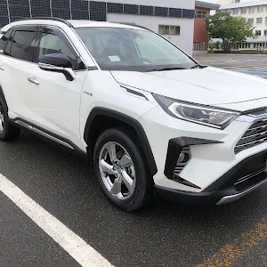 RAV4 AXAH54