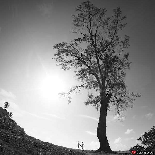 Hochzeitsfotograf Katya Mukhina (lama). Foto vom 11. September 2014