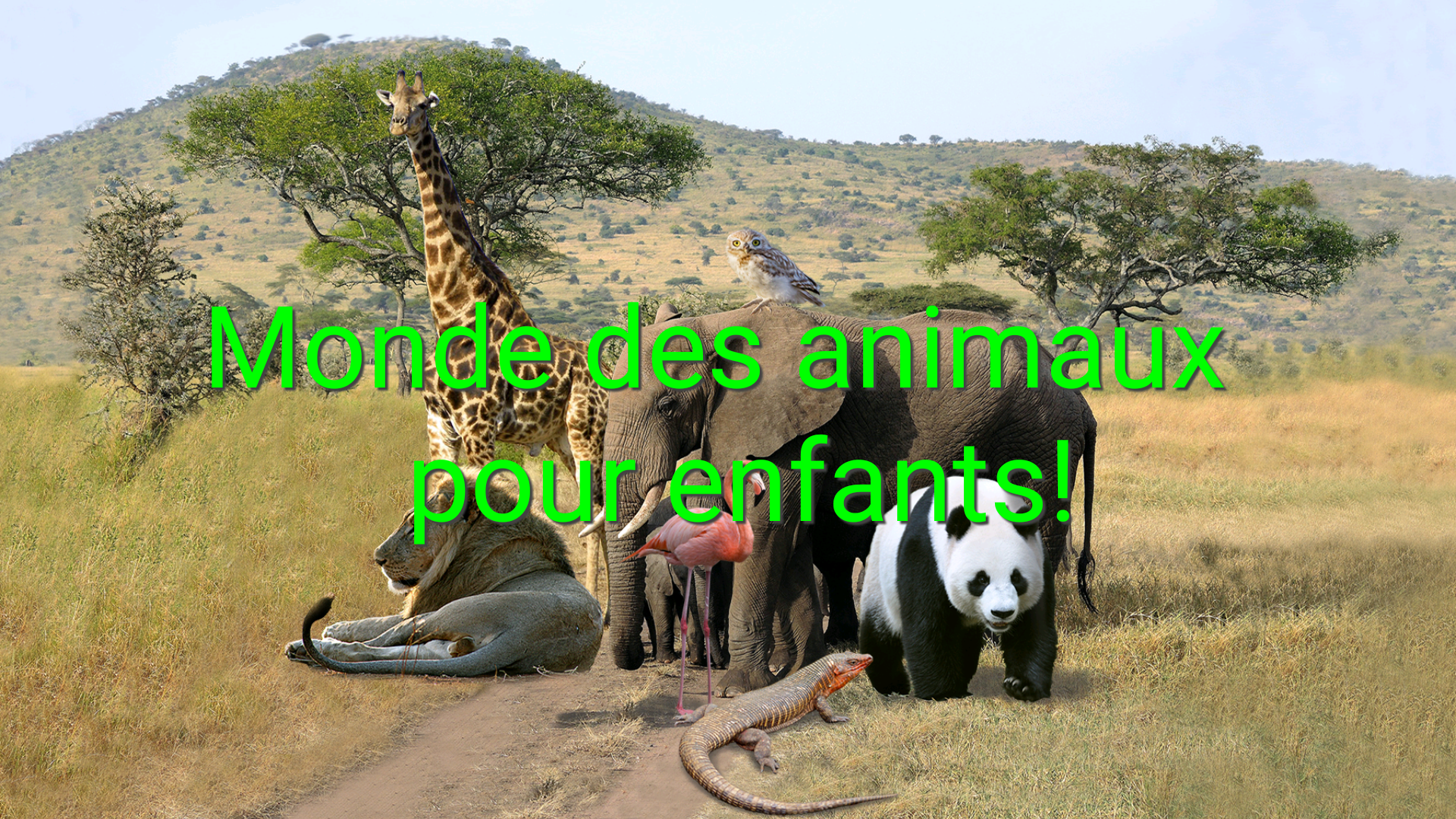 Android application World of animals for kids! screenshort