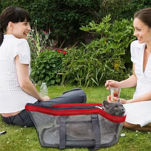 Local Delivery-Pet Carrier Foldable Breathable Mesh Cat Dog Carrier Bag