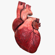 Cardio3D 1.0.0 Icon