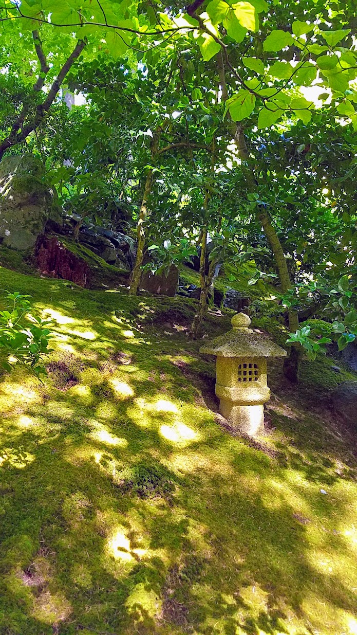 Visiting the Portland Japanese Garden