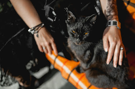 Fotógrafo de casamento Aleksandr Pechenov (pechenov). Foto de 12 de janeiro 2019