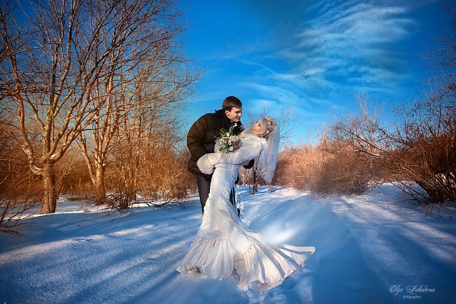 Wedding photographer Olga Lebed (wwwgirl). Photo of 12 March 2016