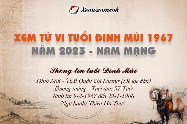 Xem bói tử vi tuổi Đinh Mùi nam mạng năm 2023 