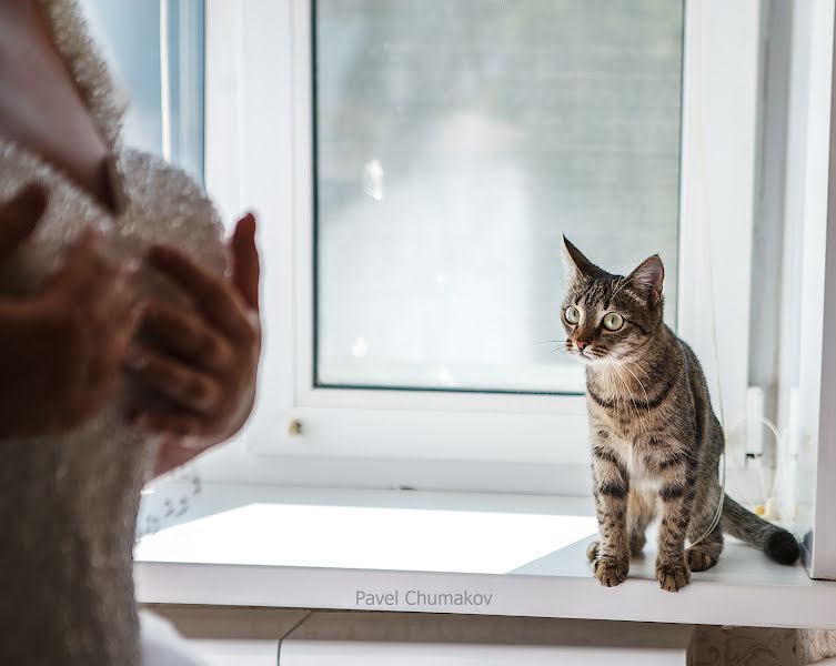 Fotógrafo de casamento Pavel Chumakov (chumakovpavel). Foto de 19 de junho 2022