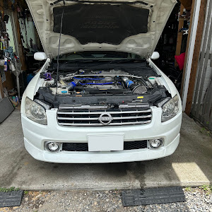 ステージア NM35