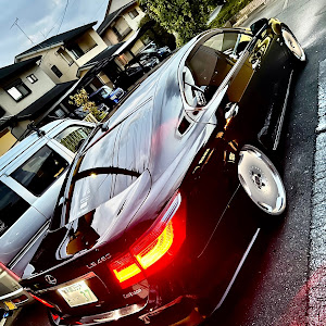 LS USF40