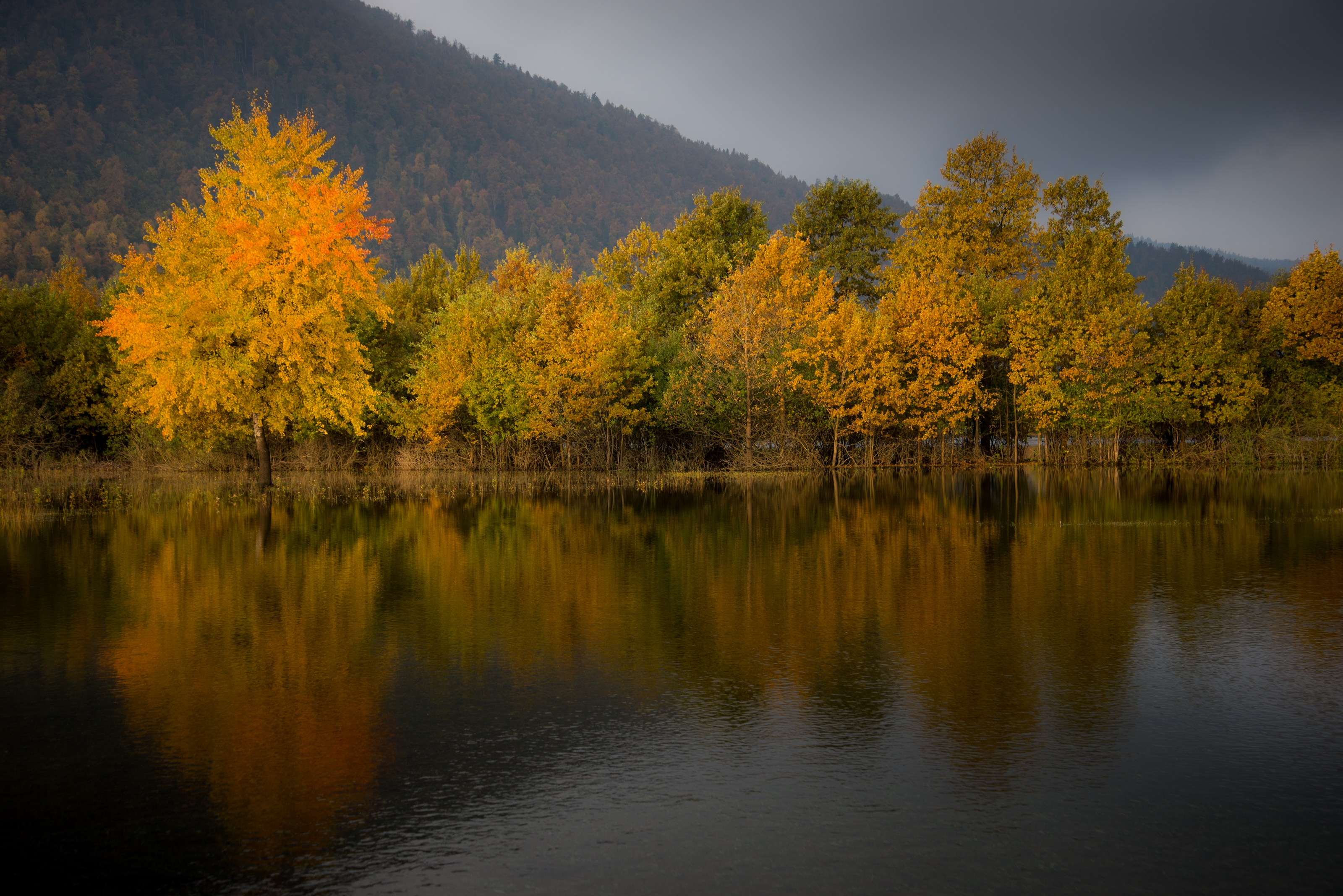 Riflessi sul lago di Winterthur58