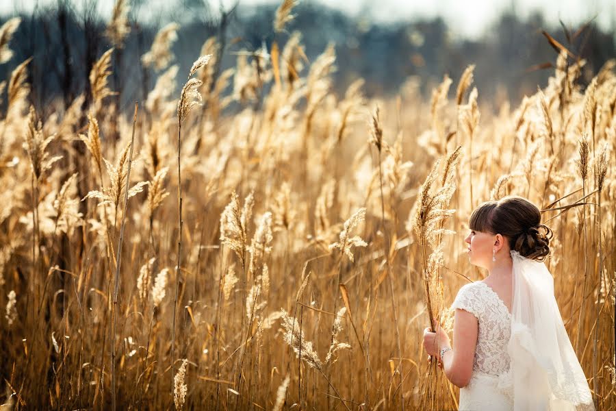 Весільний фотограф Виталий Гуня (suresh). Фотографія від 9 листопада 2015