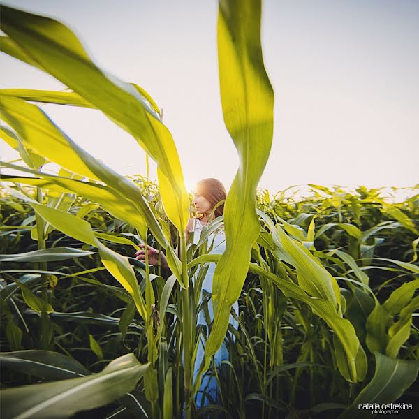 Wedding photographer Natalya Ostrekina (levashevanataly). Photo of 9 September 2013