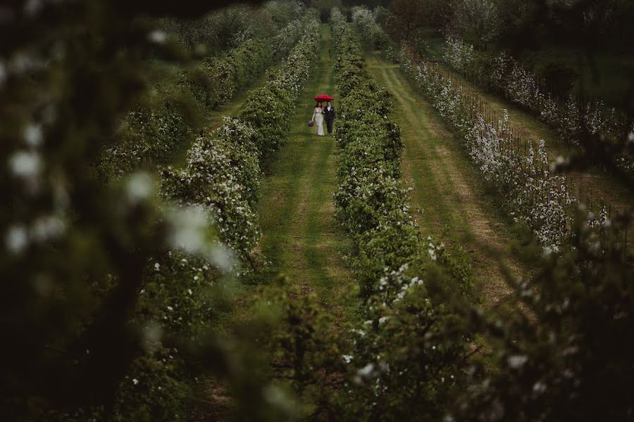 Fotógrafo de casamento Tim Demski (timdemski). Foto de 19 de maio 2021