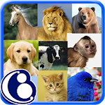 Animales (Español) Apk