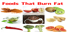 Fat burning foods list APK