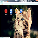 AdOrAbLe fUnNy cAt mIx Chrome extension download