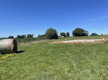 terrain à Saint-Bonnet-Briance (87)