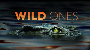 Wild Ones thumbnail