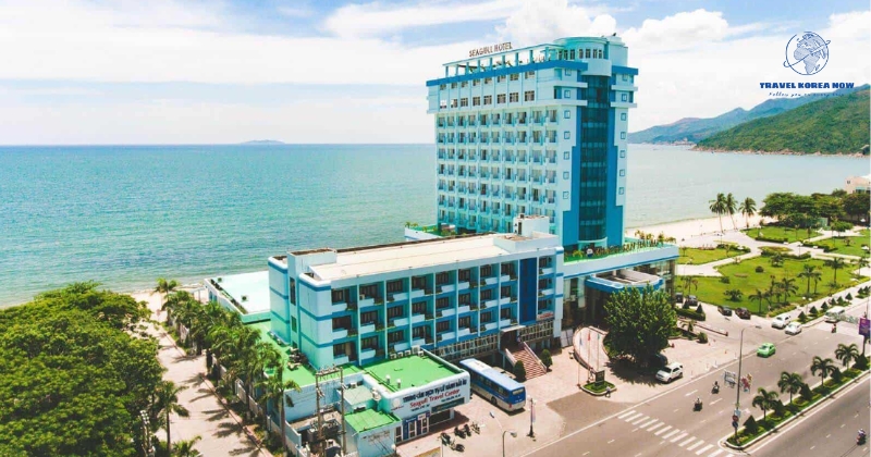 Quy Nhon City - Seagull Hotel