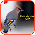 Cover Image of ダウンロード Good Morning 3D Images 1.0.8 APK