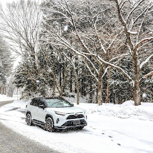 RAV4 AXAP54