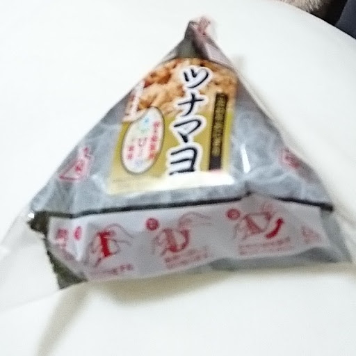 トラ貓