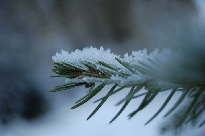 I cristalli di ghiaccio di Mirsam