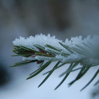 I cristalli di ghiaccio di 