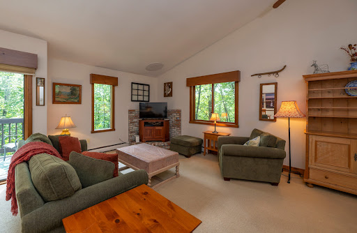 Luxury property for sale in Hartford (United States) - Cozy living room with fireplace and forest view